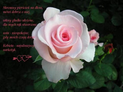 Skromny pierścień na dłoni